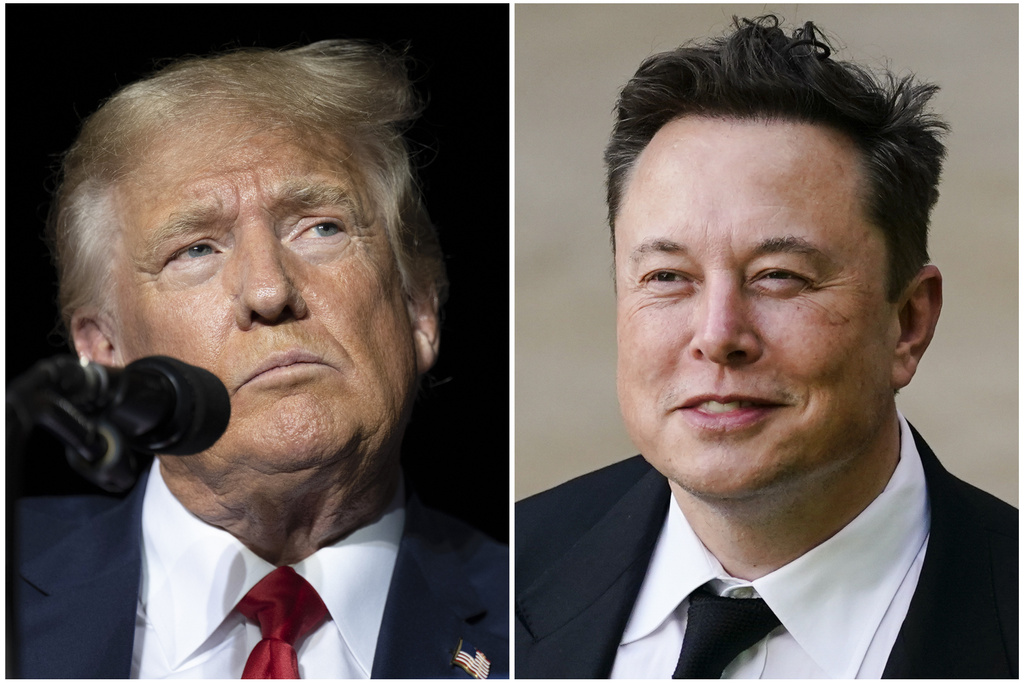 trump-musk-TASR_AP.jpg