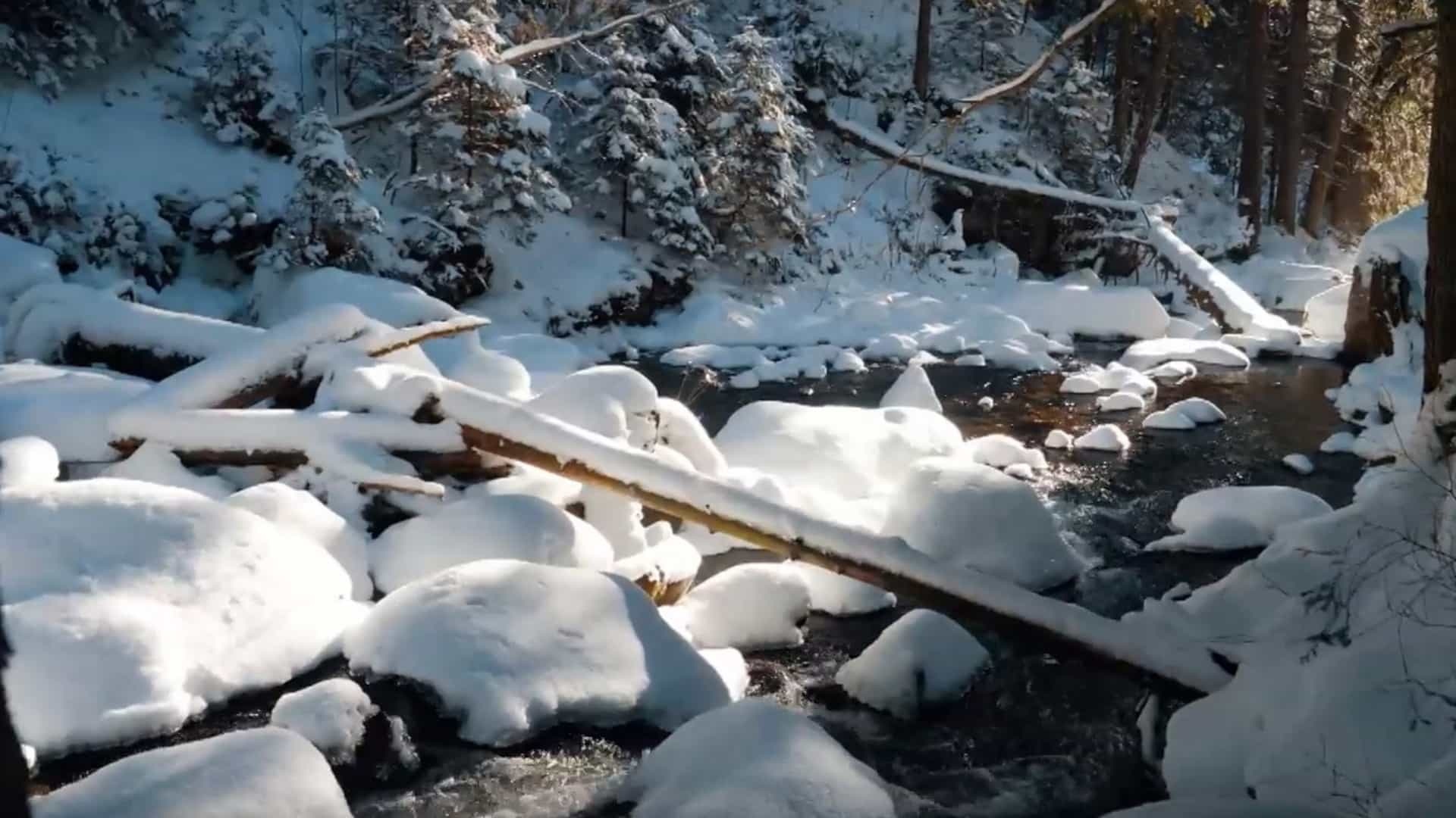 Do Jaloveckej doliny nevedie cesta. Vďaka tomu je najdivokejšou v Tatrách