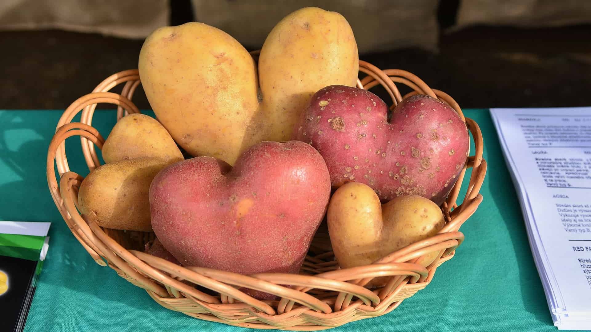 Zemiak je náš druhý chlieb. Pôsobí však aj ako liek a vitamínová bomba