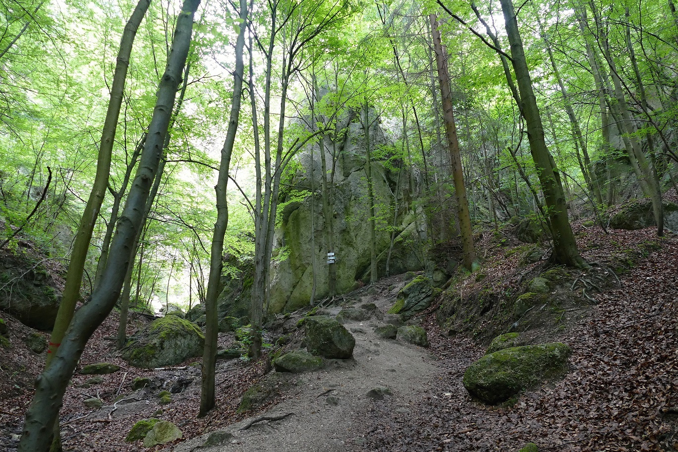 Tip na výlet: Strážovské vrchy ukrývajú vzácny unikát