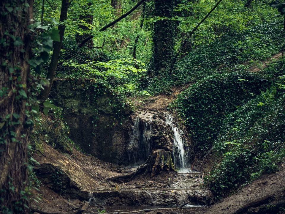 Tip na výlet: Haluzická tiesňava je krásna aj počas daždivej jari