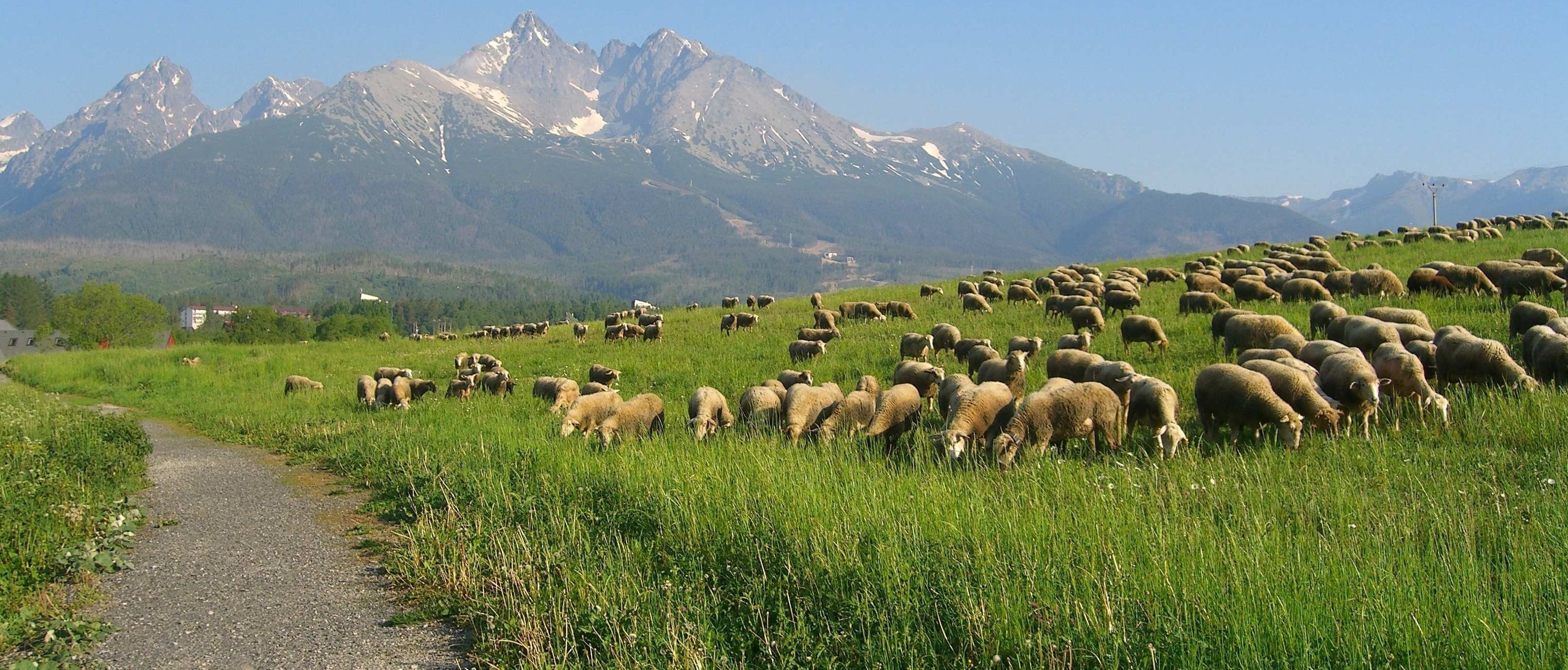 V premiérovej Farmárskej revue sa vyberieme aj vysoko do hôr