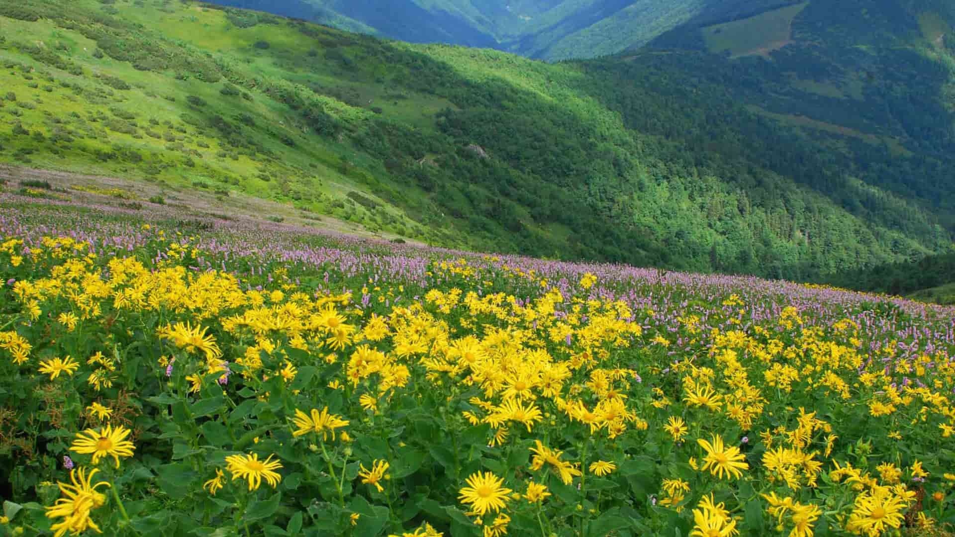 Fatra-Pavol-Ďurčo-TASR