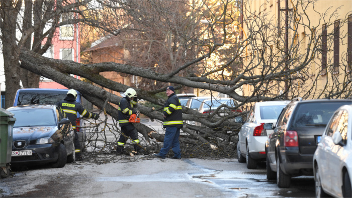 Košice počasie mesto vietor strom vyvrátenie_TASR.jpg