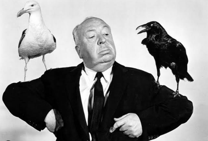 Alfred Hitchcock - Vtáci, horor.png